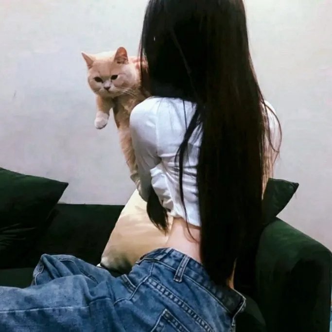 姐妹四城